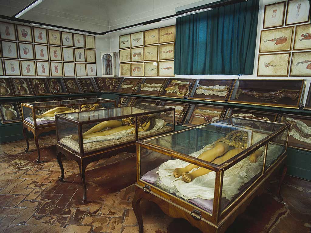 Fondazione Prada presenta le ‘Cere anatomiche’ de La Specola di Firenze