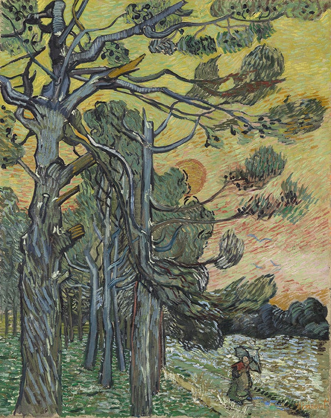 Van Gogh Pittore Colto al Mudec